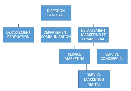 service webmarketing lié au département commercial et marketing