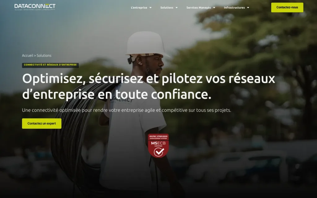 Site web Dataconnect : page interne 2