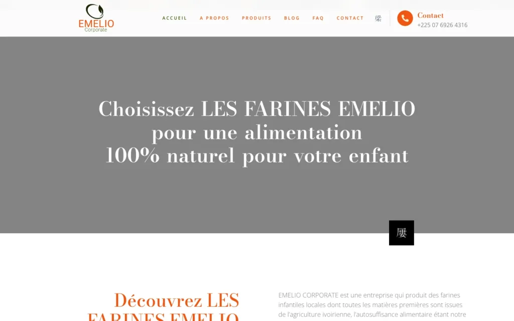 Site web Les Farines Emelio : page d'accueil