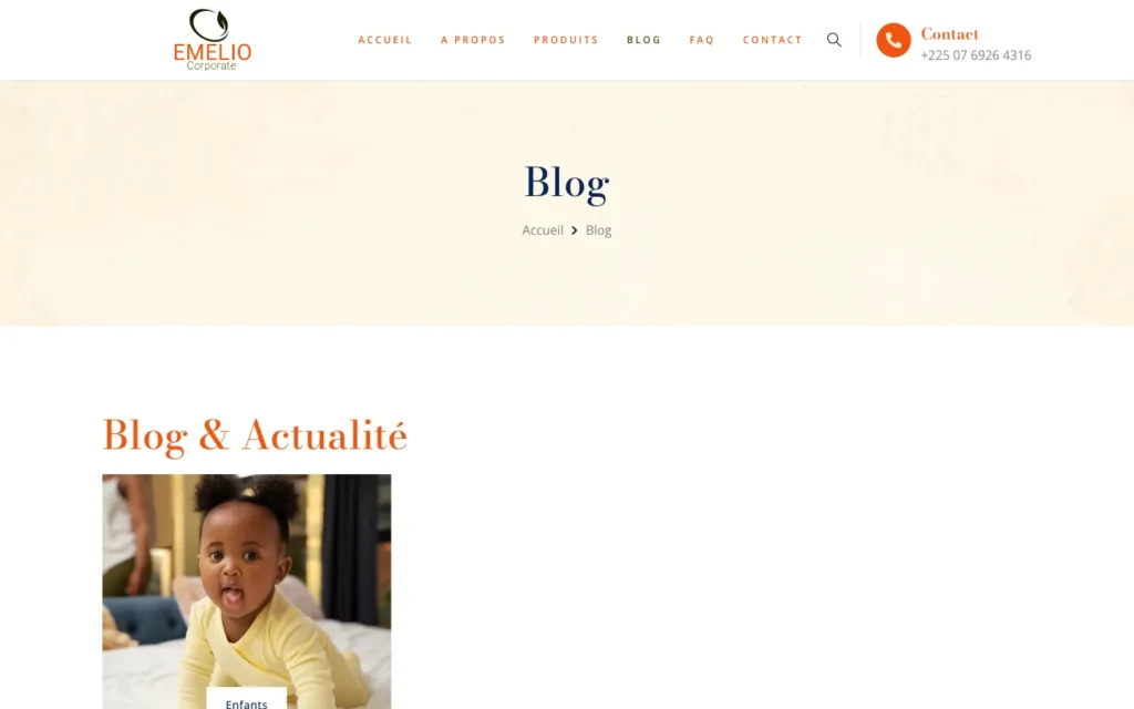 Site web Les Farines Emelio : page interne 3