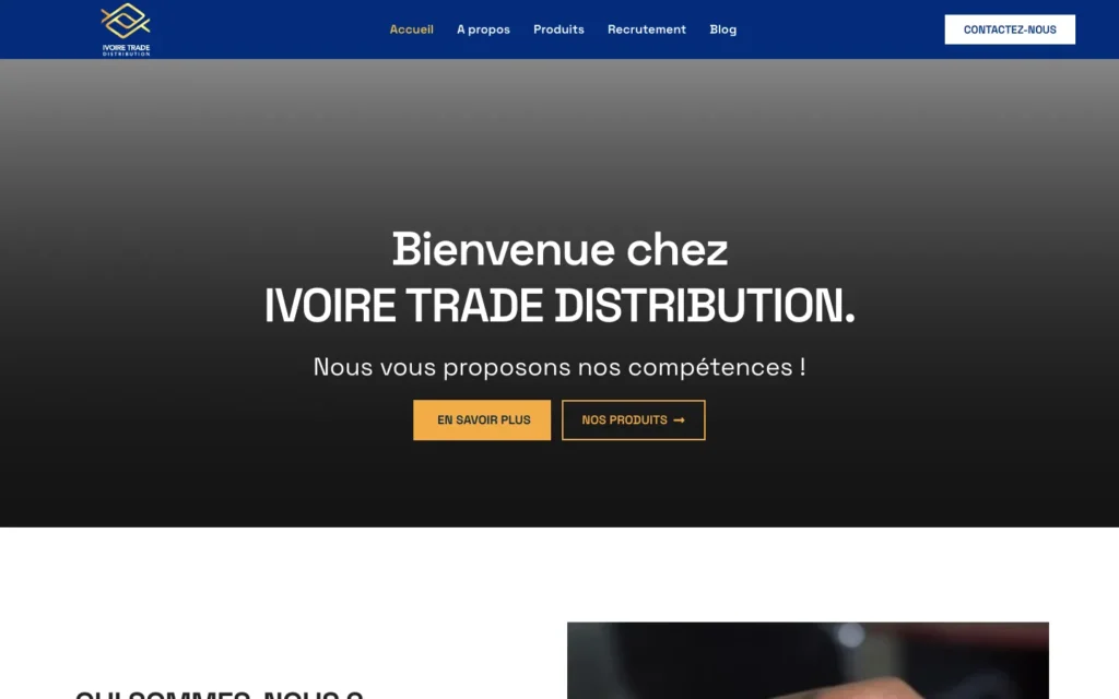 Site web Ivoire Trade Distribution : page d'accueil