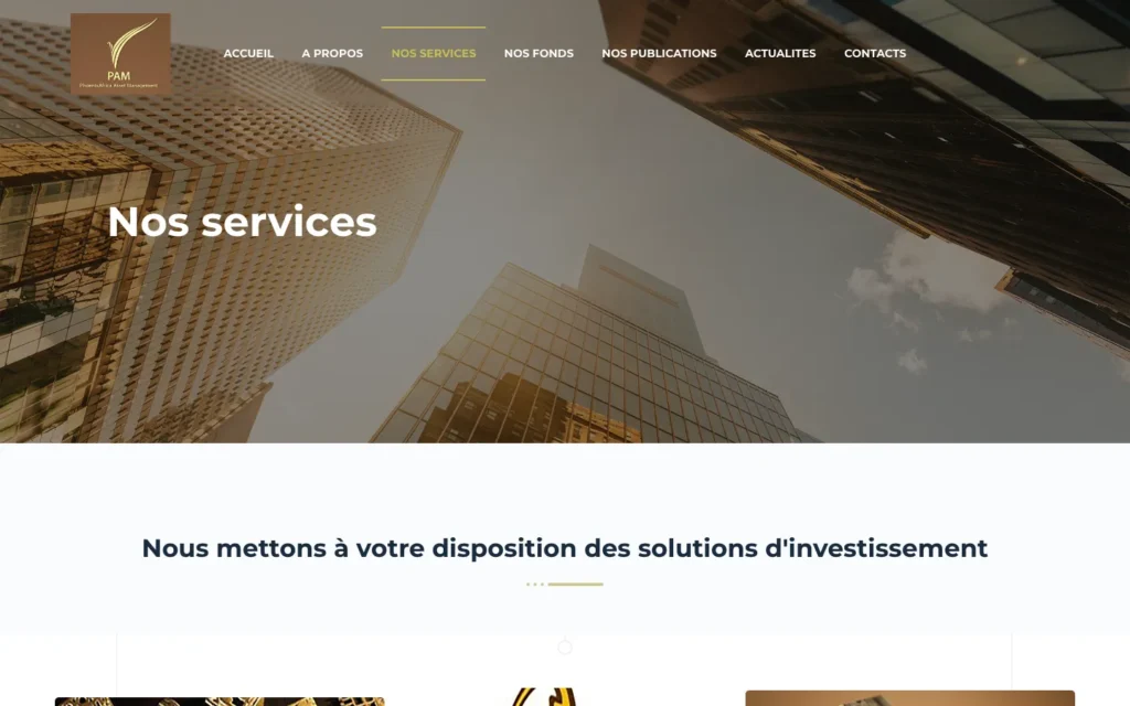 Site web PhoenixAfrica Asset Management : page interne 2
