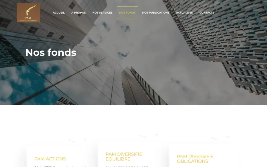 Site web PhoenixAfrica Asset Management : page interne 3