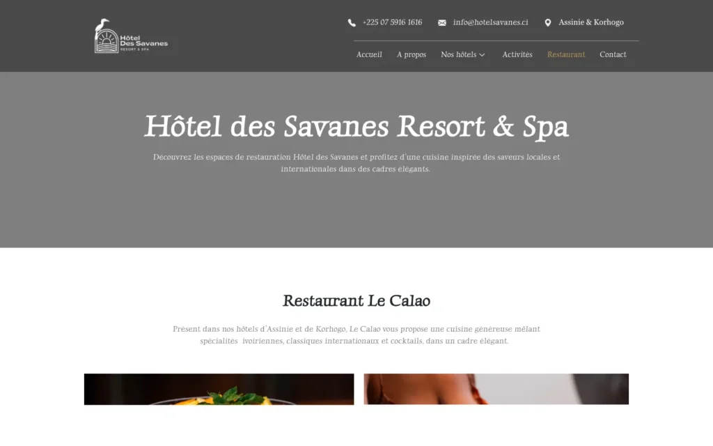 Site web Hôtel des Savanes : page interne 3