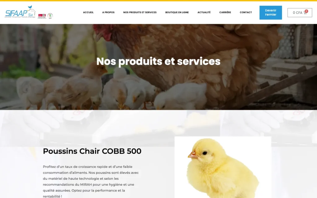 Site web SIFAAP : page interne 2