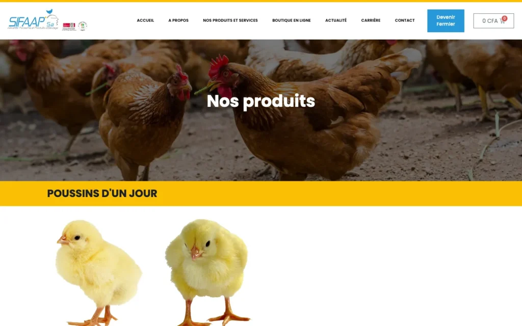 Site web SIFAAP : page interne 3