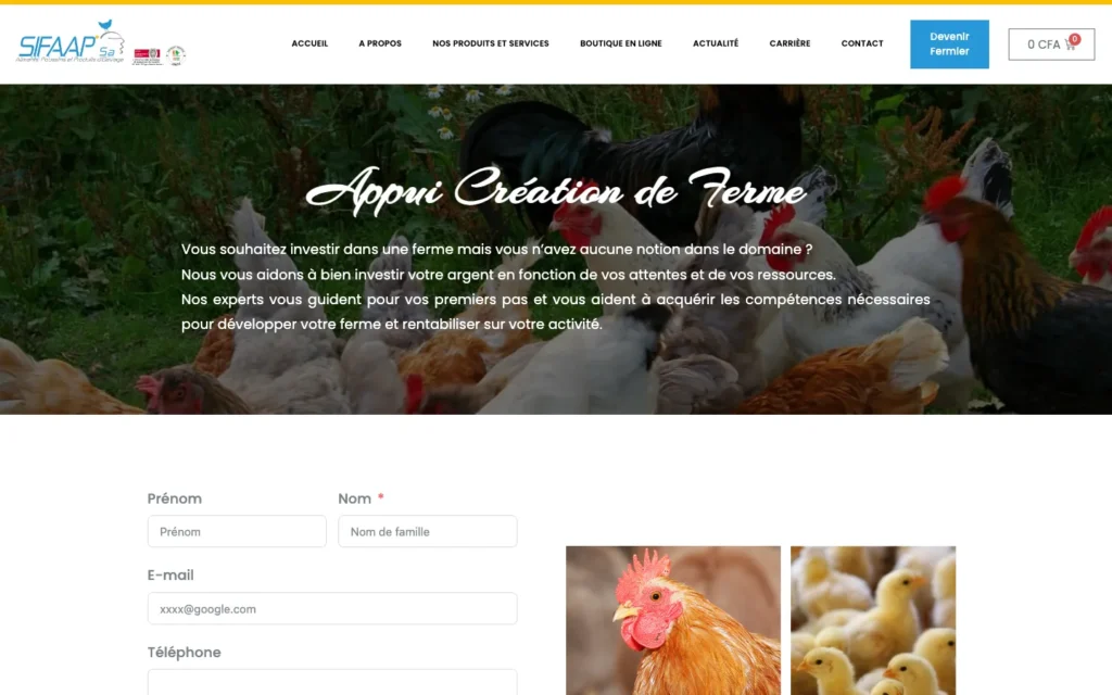 Site web SIFAAP : page interne 4