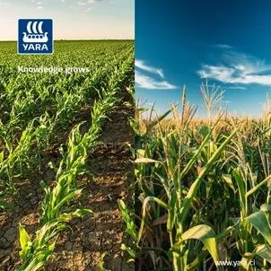 YARA : visuel de la campagne réalisée par Digit Communication