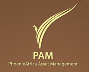 Logo PhoenixAfrica Asset Management