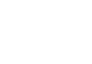 Logo SC-CI (BIGCIM)