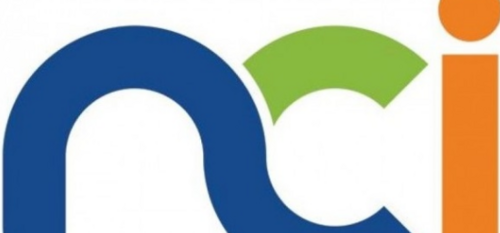 Logo NCI