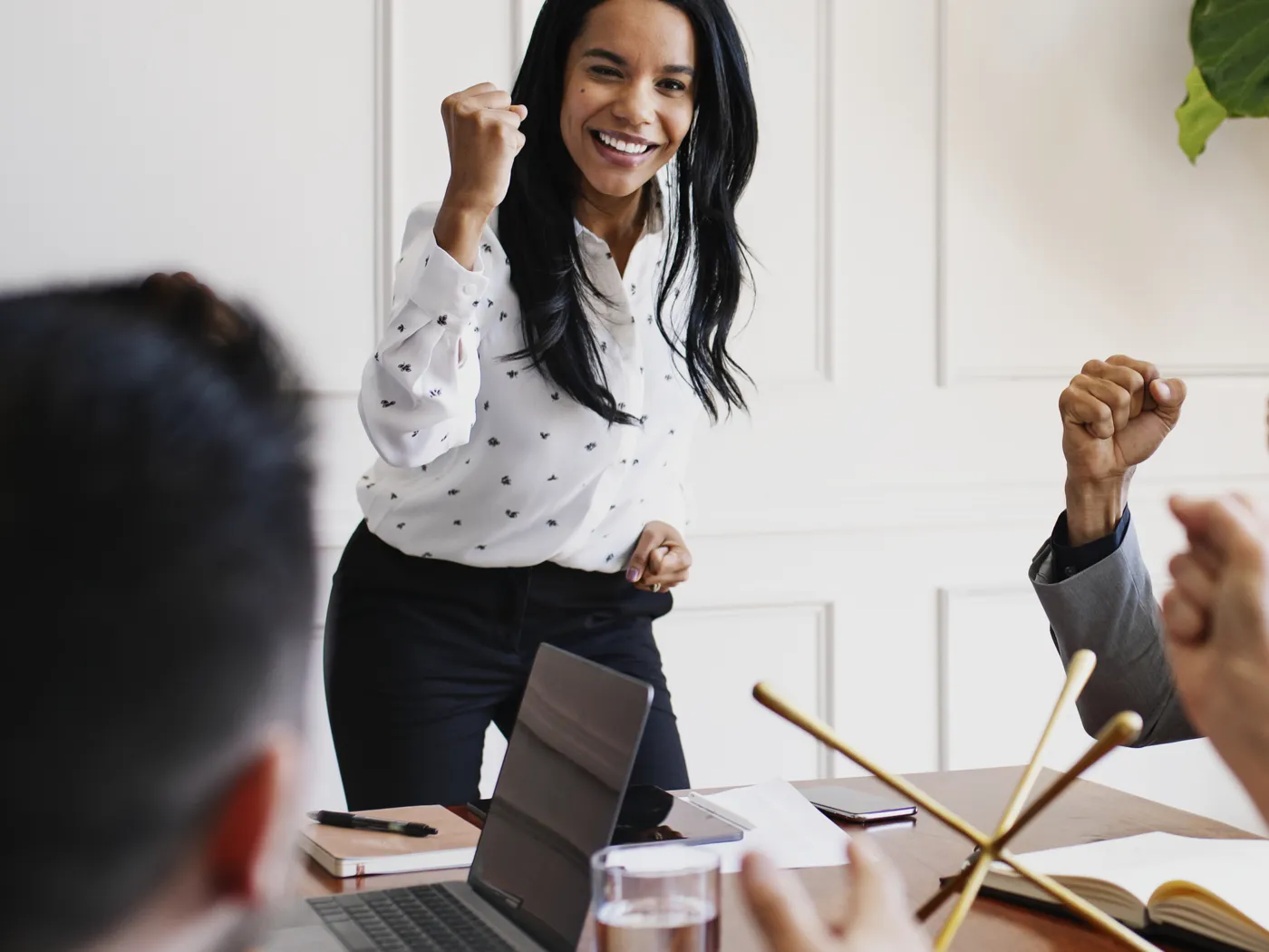 Conseil et services professionnels