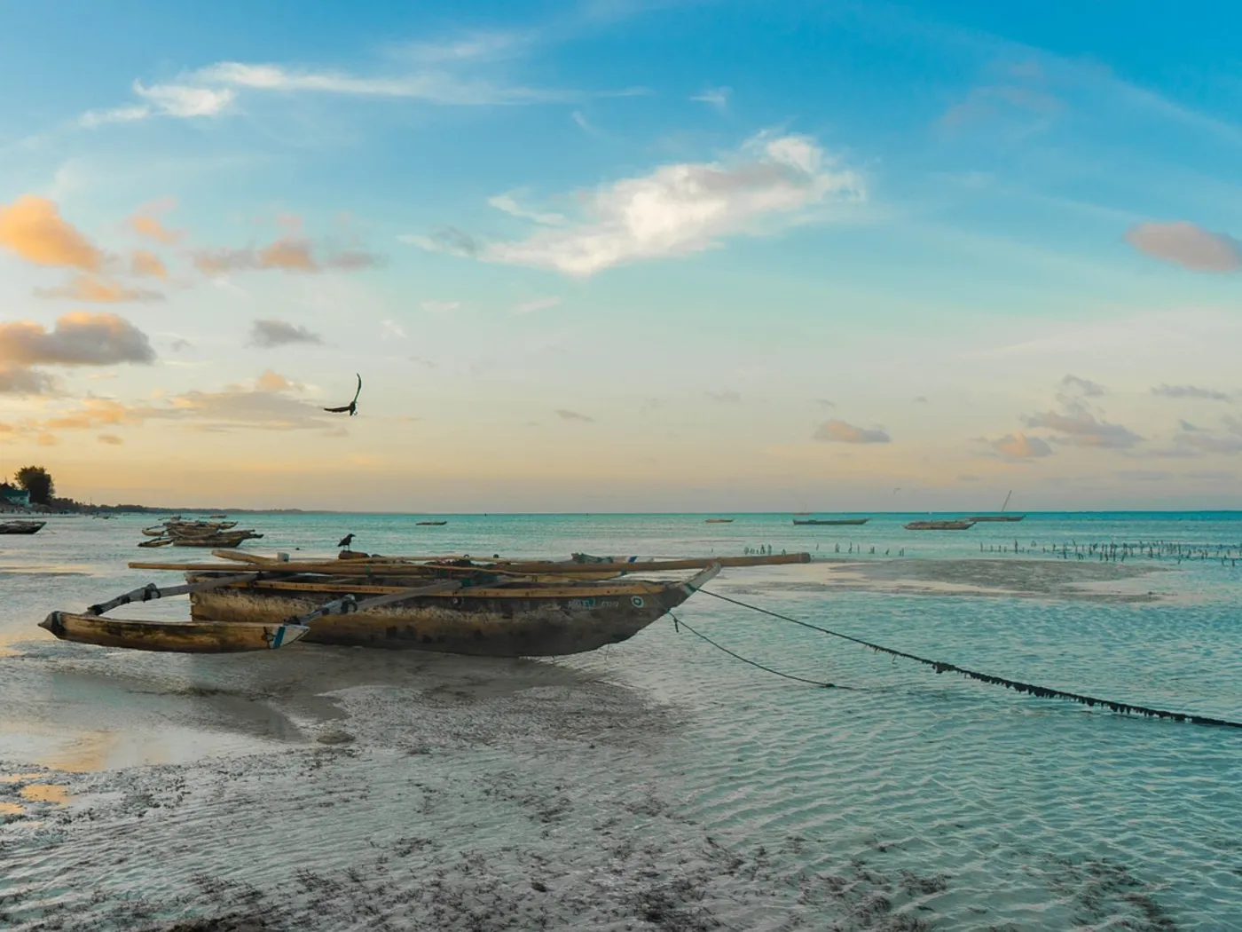 Tourisme et agences de voyage